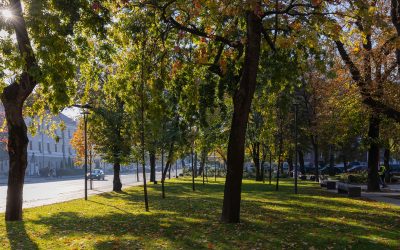 Parcul „Ștefan cel Mare”, Cluj-Napoca