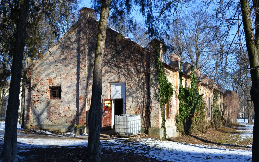 Castelul Karoly Carei